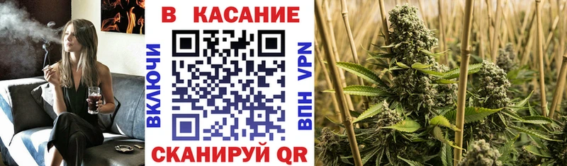 Конопля Пыталово