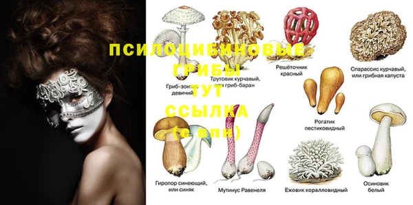 ПСИЛОЦИБИНОВЫЕ ГРИБЫ Абинск